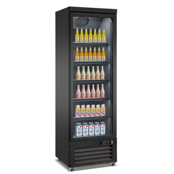 Les avantages de l'armoire réfrigérée à boissons 1 portes pour votre établissement à Paris