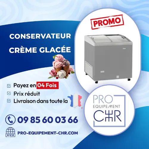 Vente de conservateur de crème glacée pour professionnel à Paris